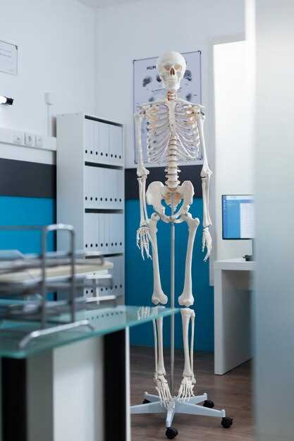 Скелет человека: как долго растут кости?