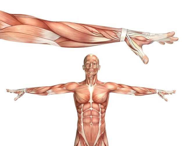 Что такое судороги икроножных мышц и как они проявляются?